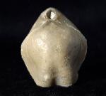 Sellithyris subsella LEYMERIE 1846 - Bild © FossNet FossilienStore